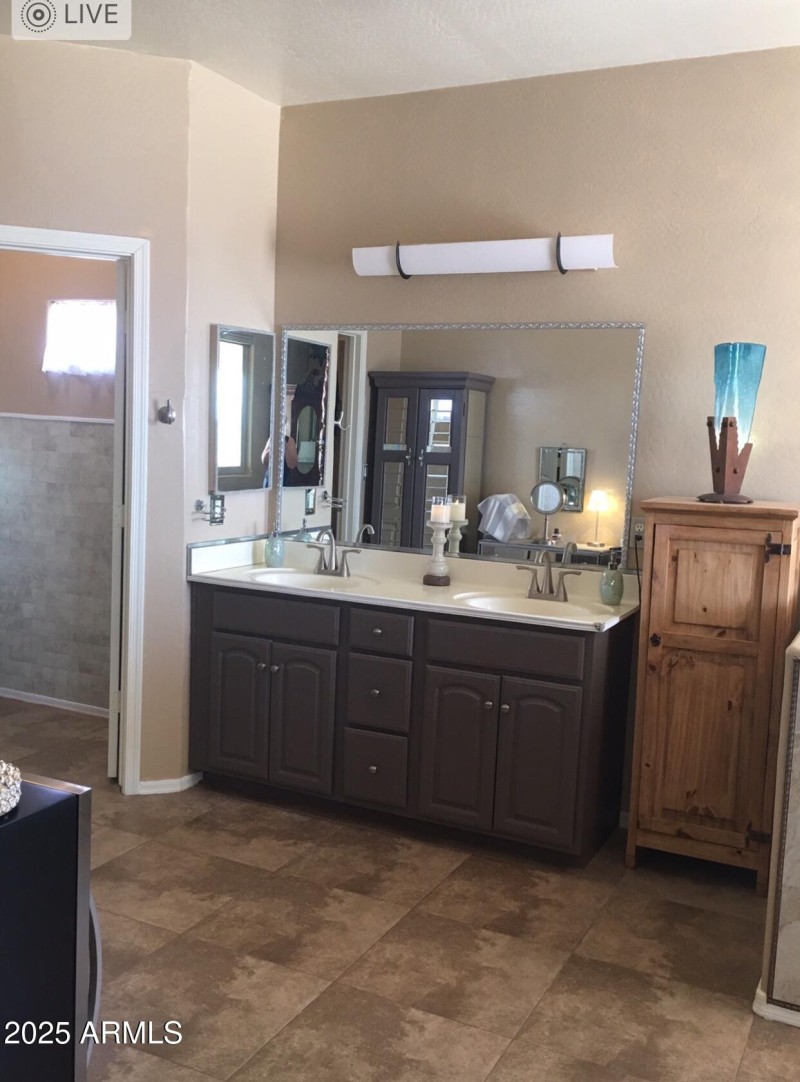 MASTER BATHROOM VANITY
