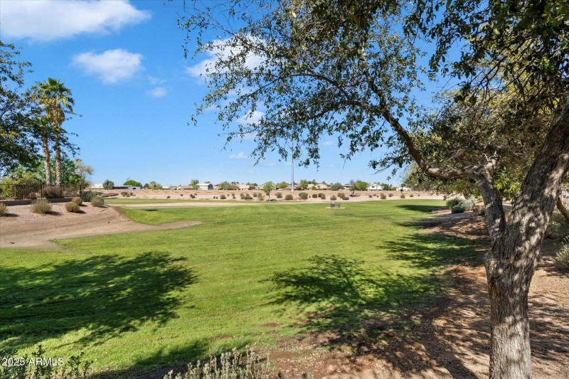 Adjacent Greenspace