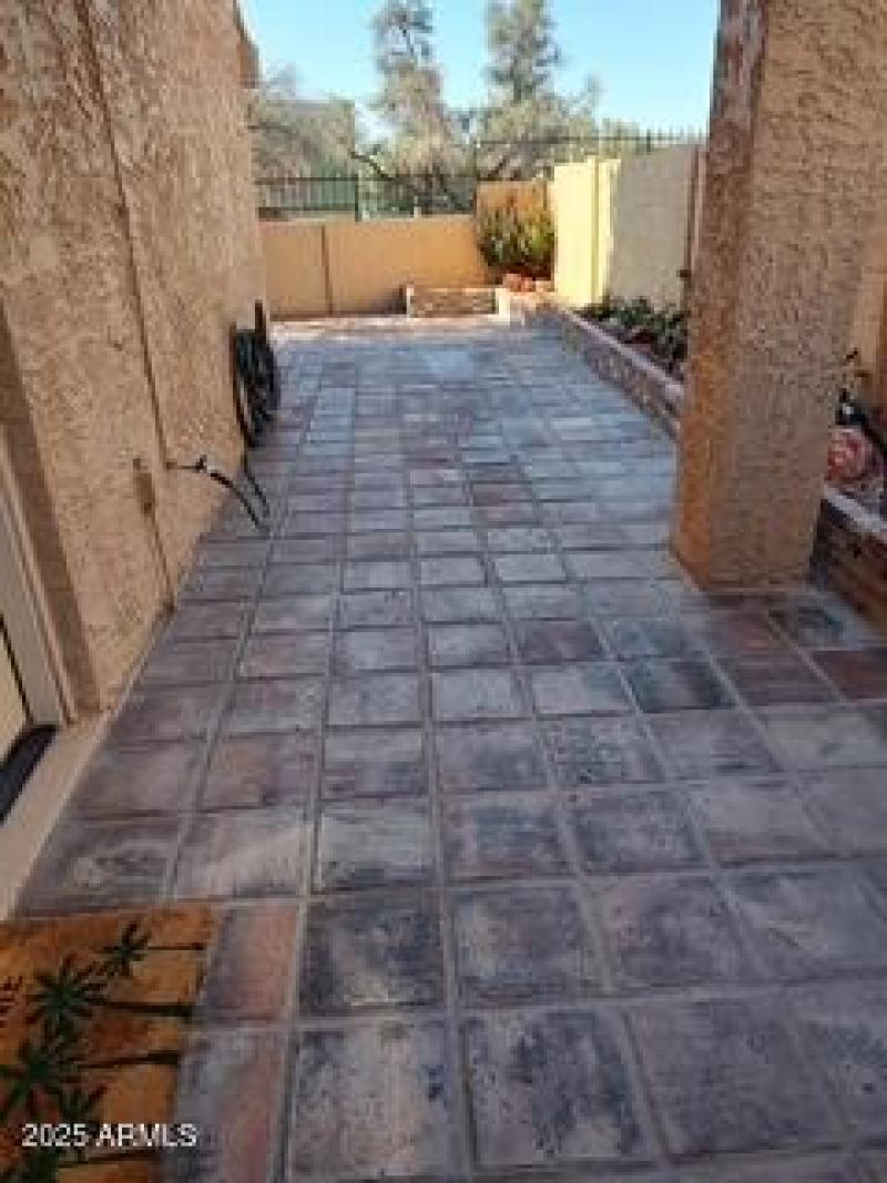 Patio 6