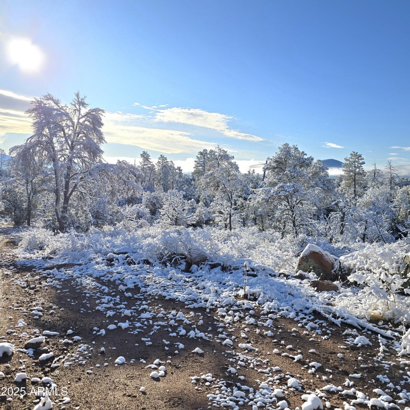 SNOW & View fr NW Bldg site