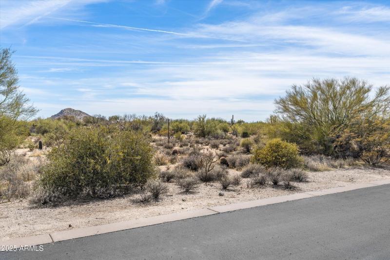 43-8167 E Leaning Rock Road #193 (19 of