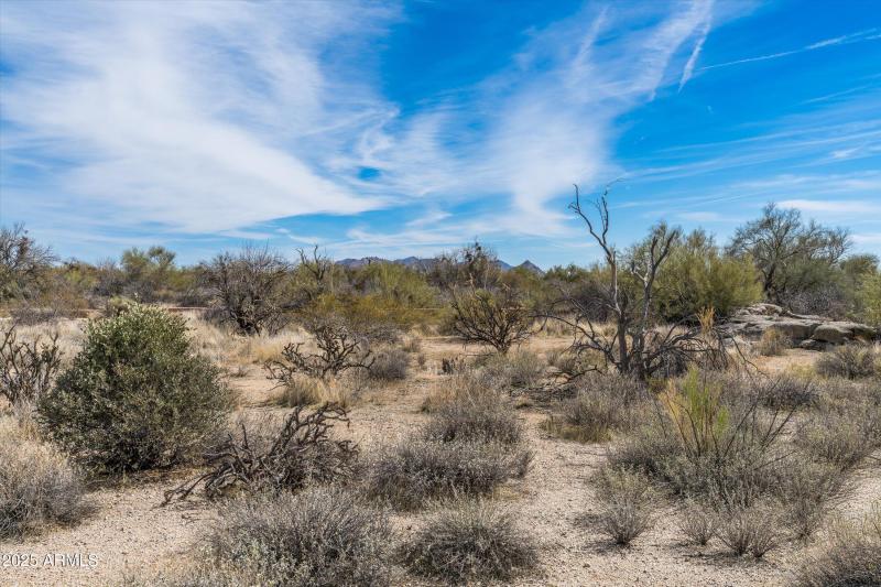 50-8167 E Leaning Rock Road #193 (26 of