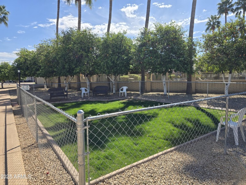 Dog Park