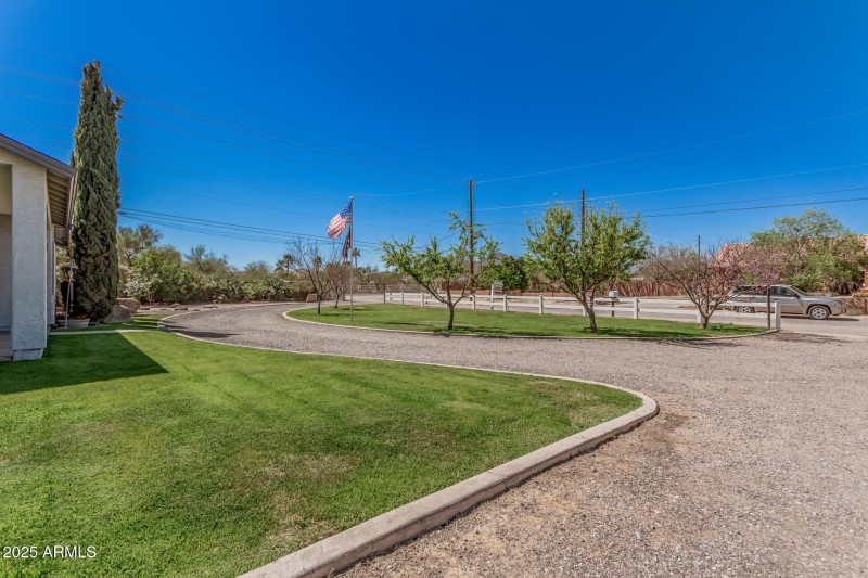 Fruit Trees