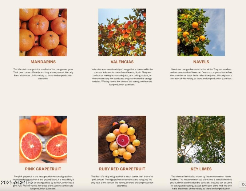 Orchard
