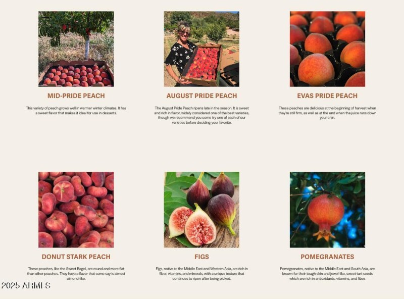 Orchard