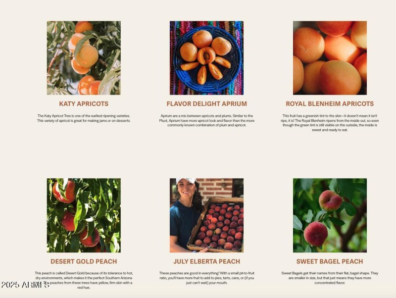 Orchard