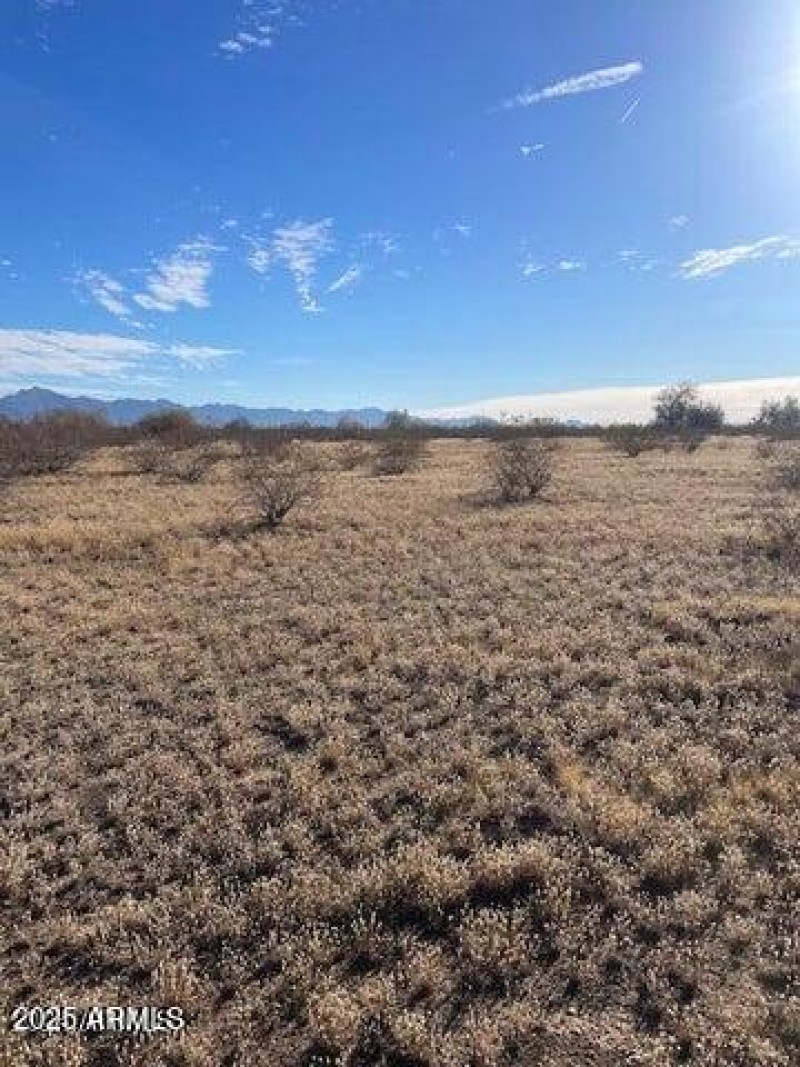 OcotilloLand