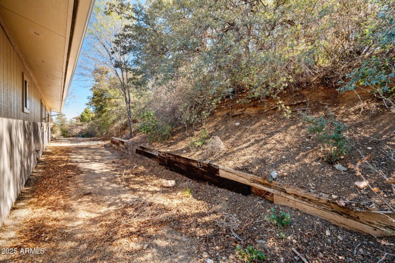 Side Yard (2)