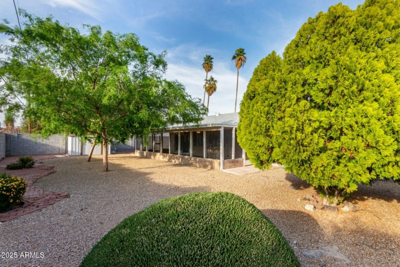 Back yard