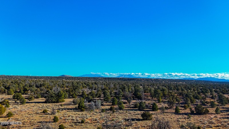 dji_fly_20250117_160036_0027_17372201578