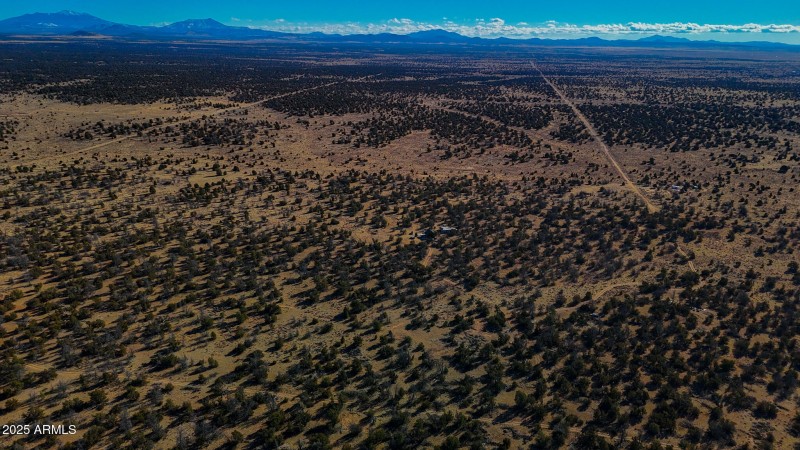 dji_fly_20250117_150626_0998_17372201687