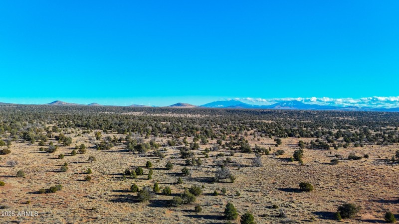 dji_fly_20250117_160144_0035_17372201529