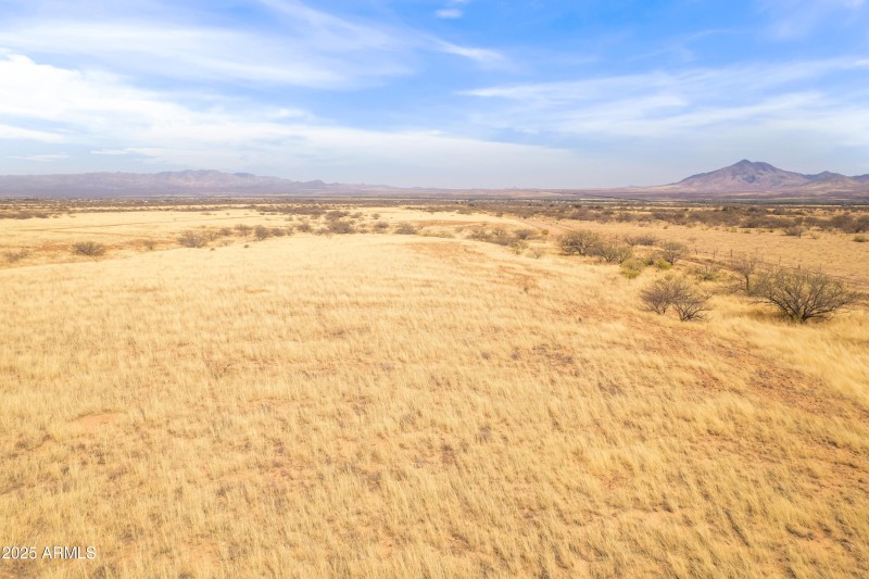 Photo Mar 31 2025, 2 07 34 PM