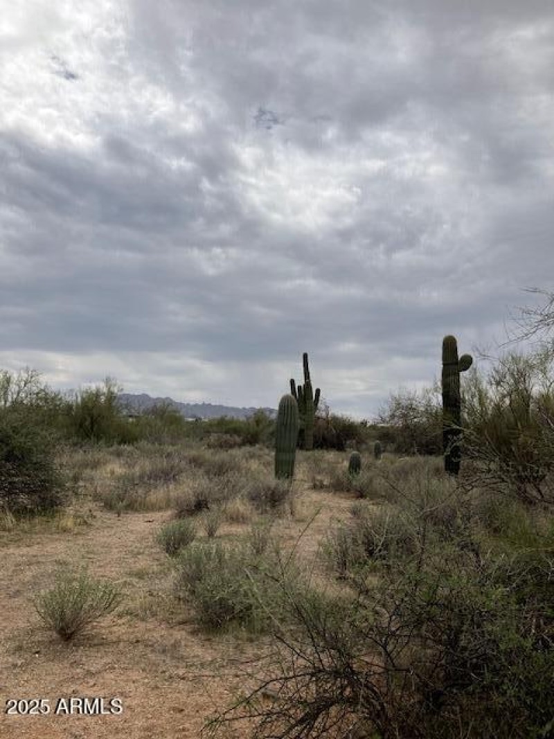 Looking west from 160th.2