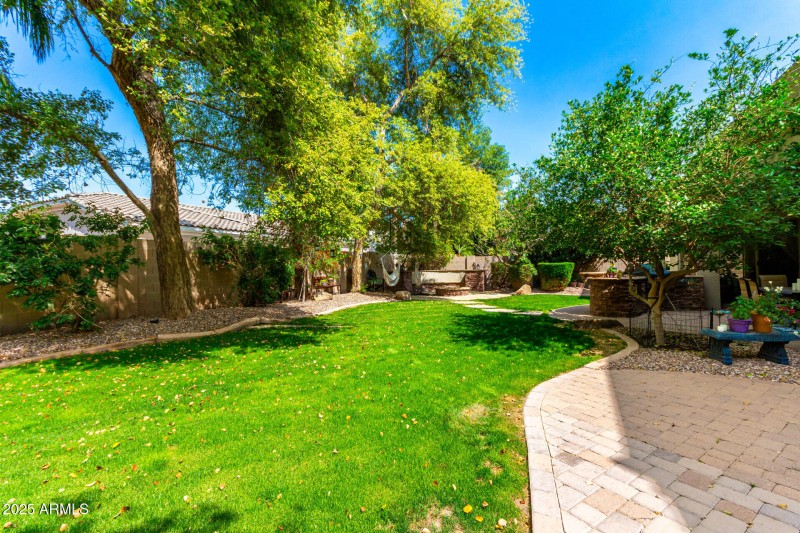 Backyard View East