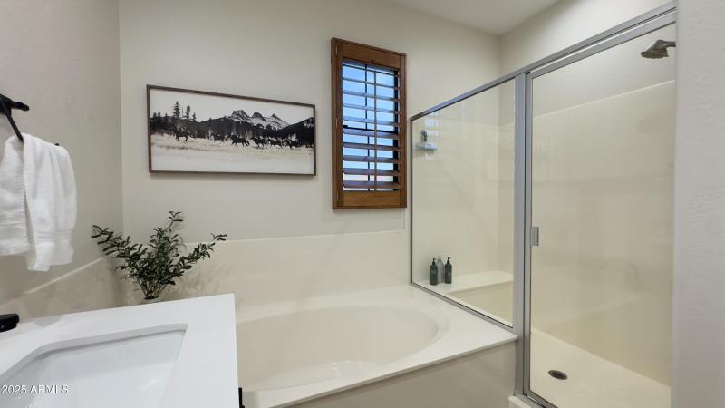 Separate tub & shower