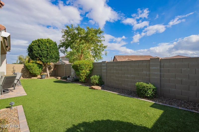 Back Yard