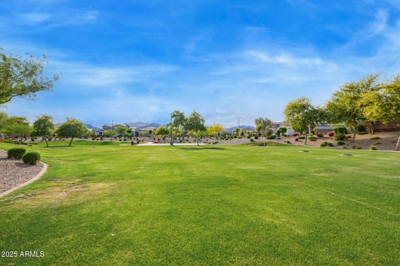 Community Park