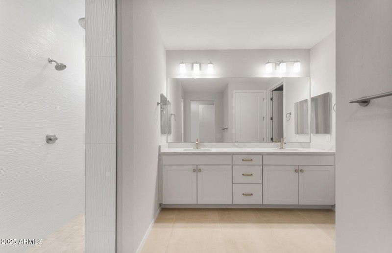 Owner's Bathroom