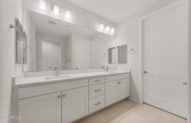 Owner's Bathroom