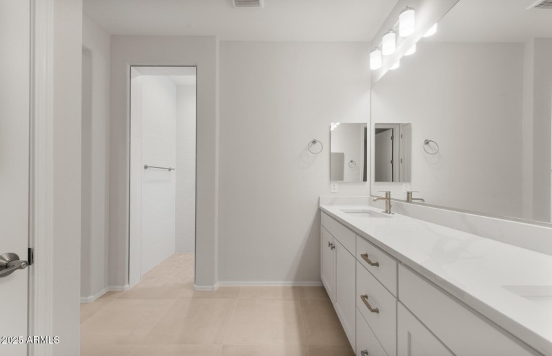 Owner's Bathroom