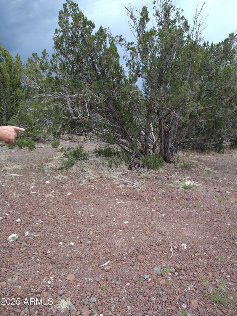 IMG_20220709_123209475