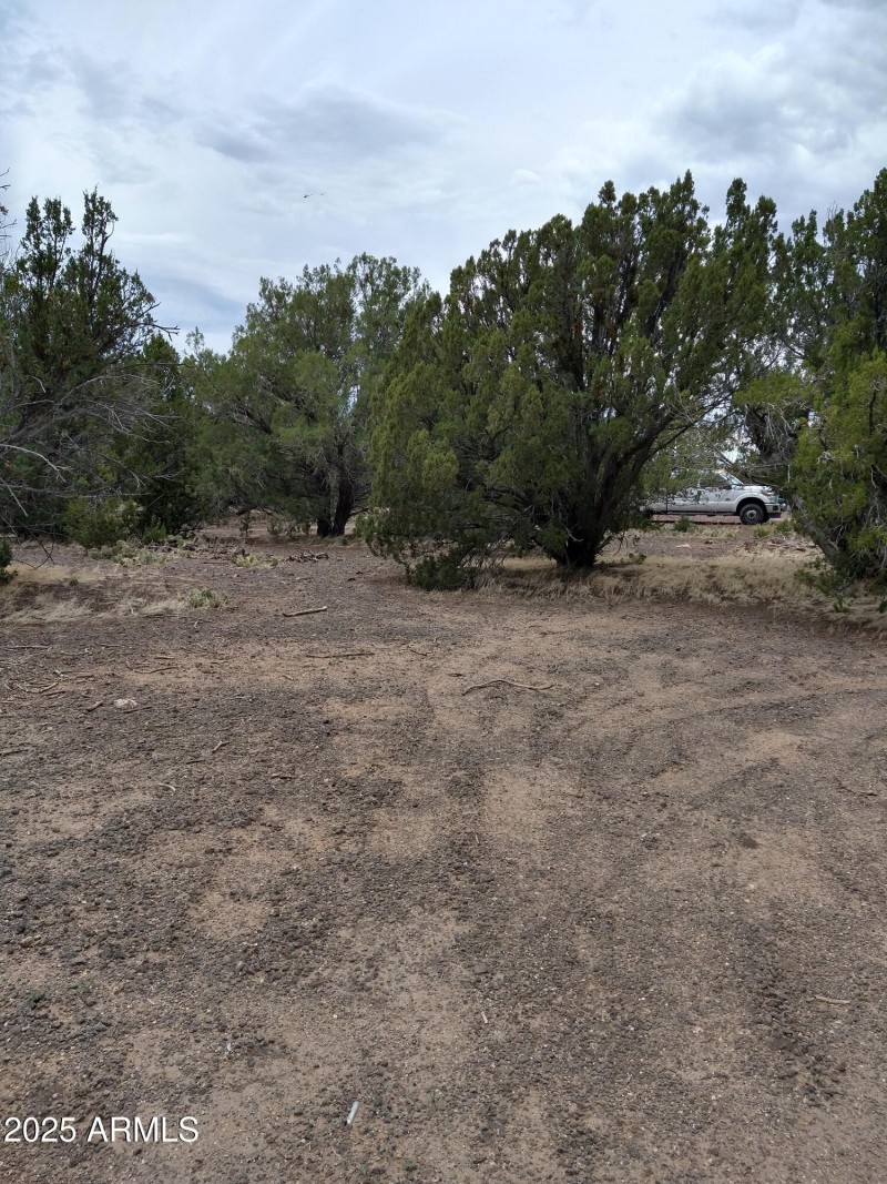 IMG_20220709_123318782_HDR