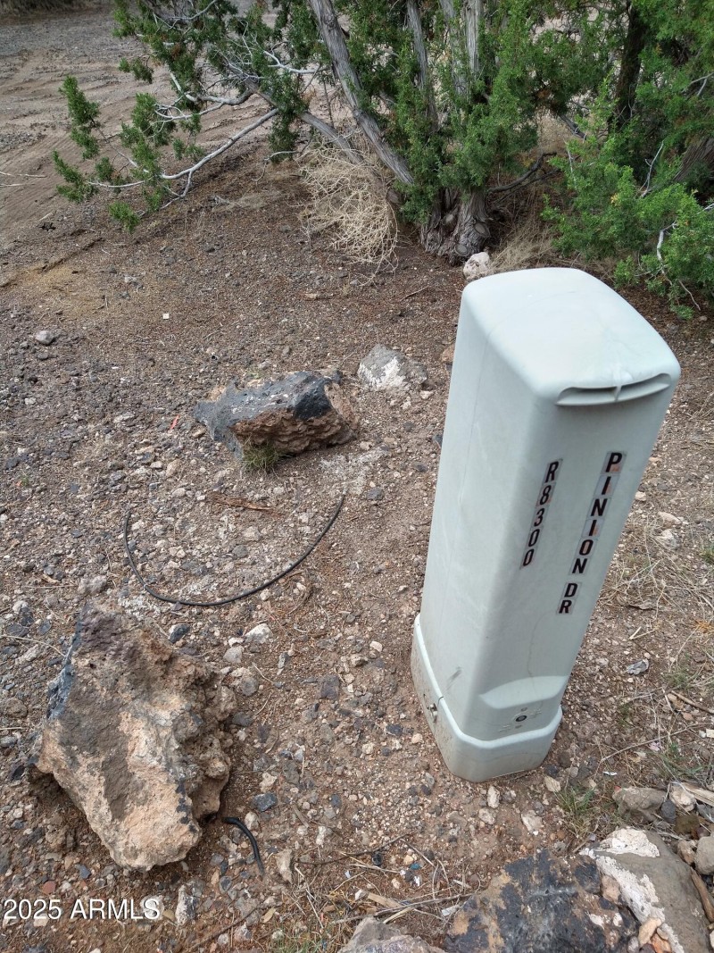 IMG_20220709_123706290_HDR