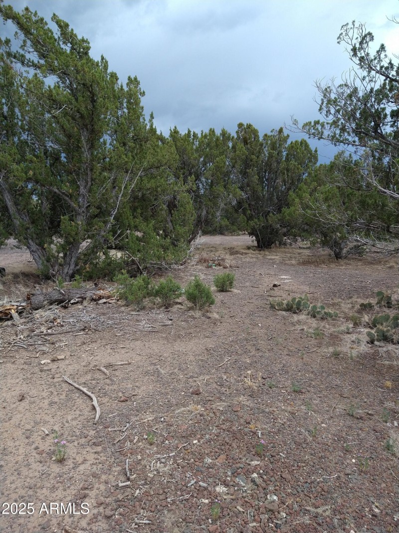 IMG_20220709_123220256