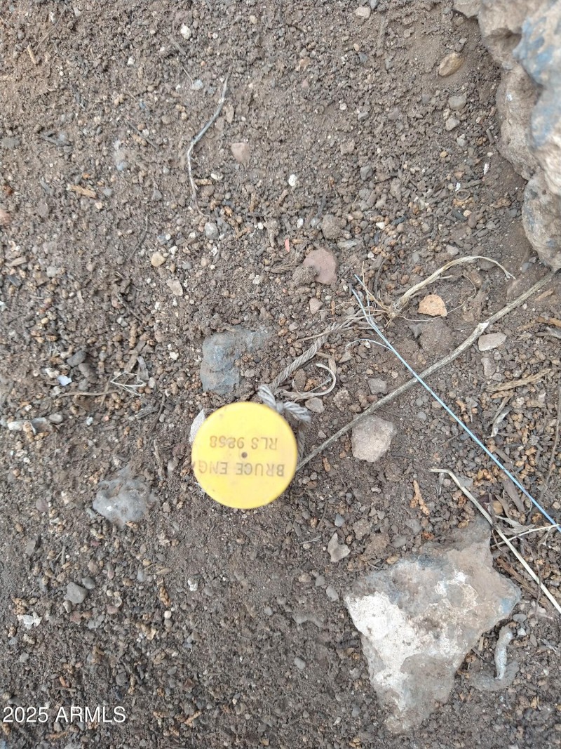 IMG_20220709_123730968