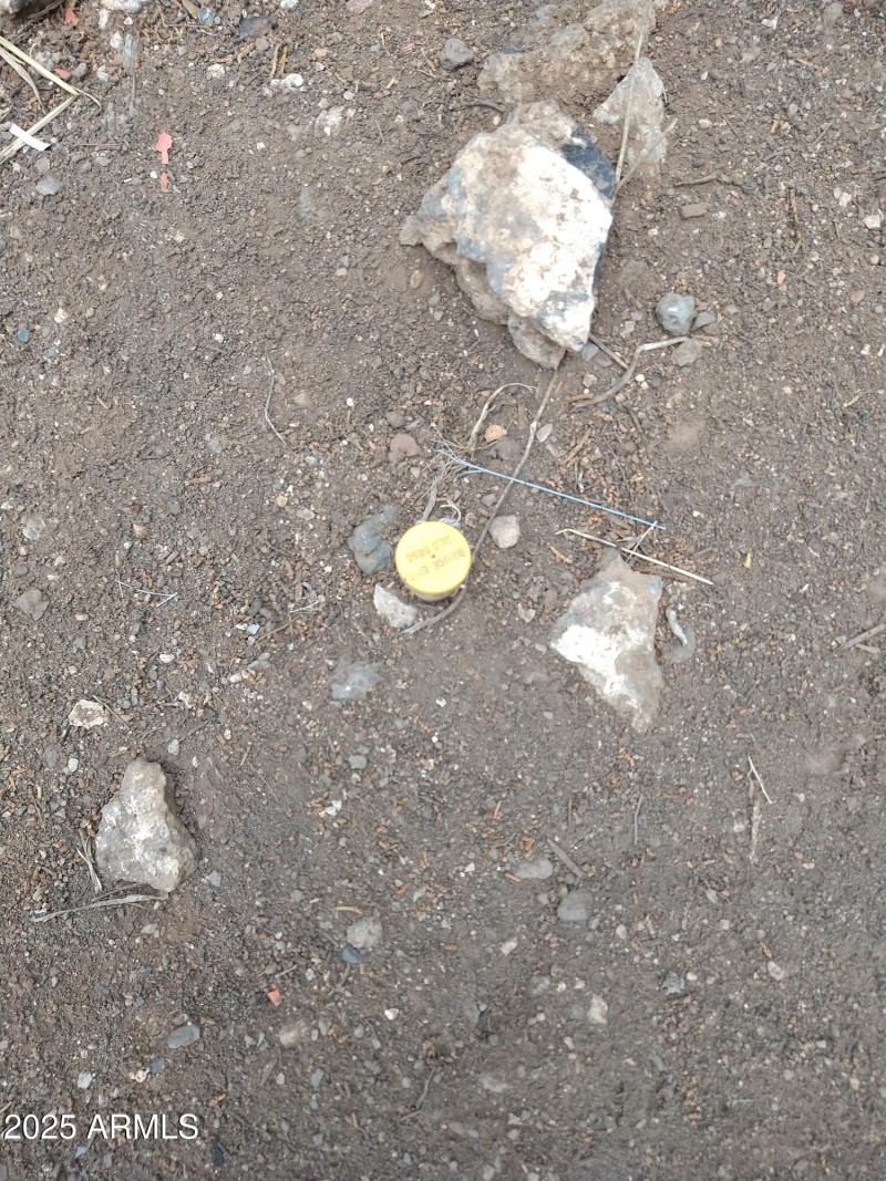 IMG_20220709_123726783