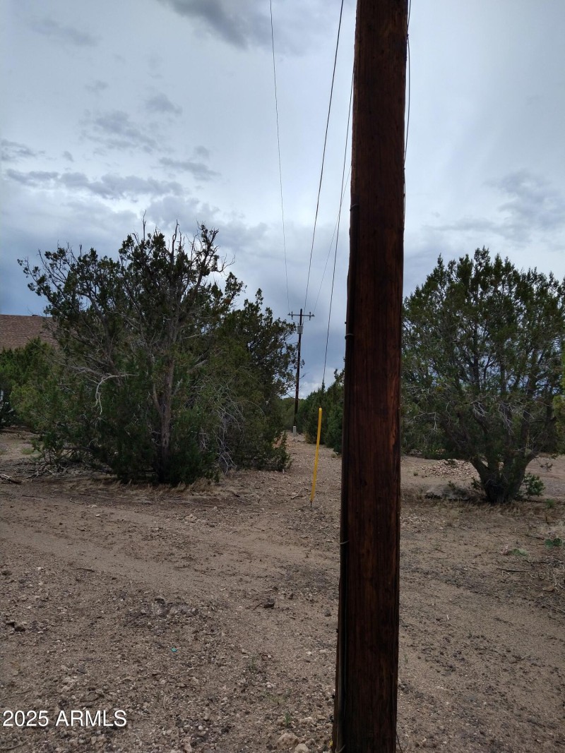 IMG_20220709_123505364_HDR