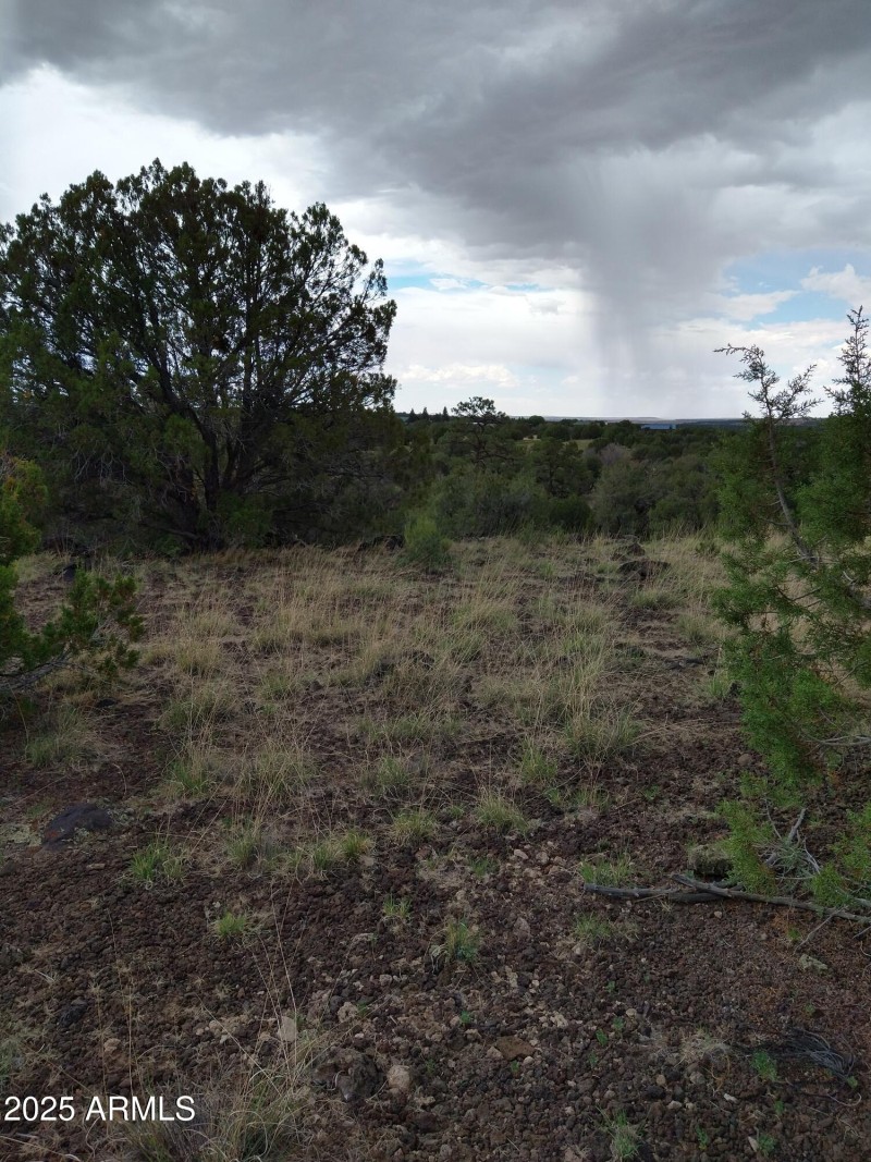 IMG_20220709_125114253_HDR