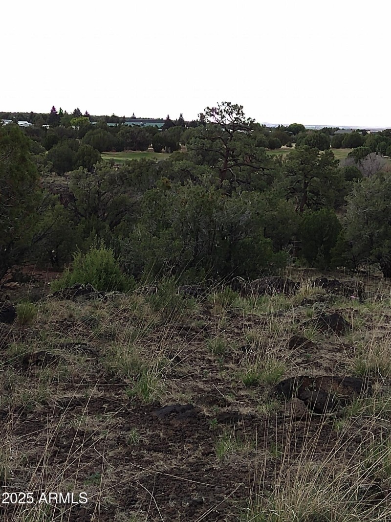 IMG_20220709_125125072