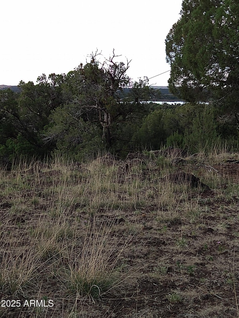 IMG_20220709_125138149