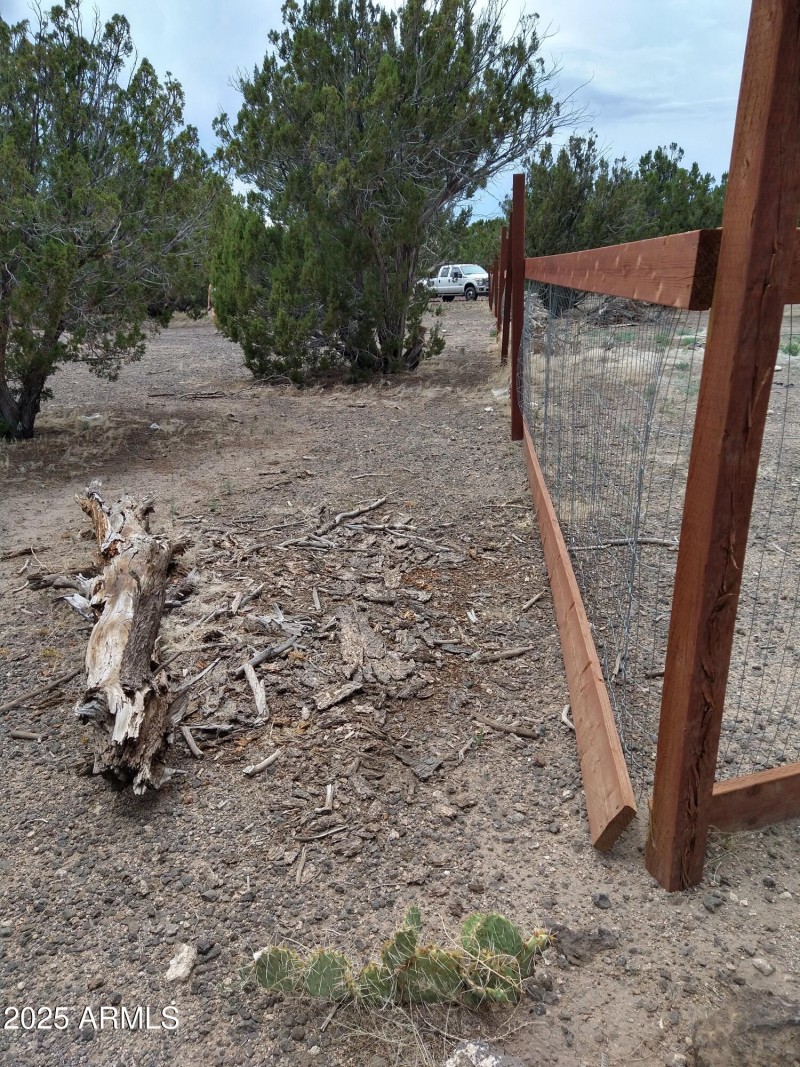 IMG_20220709_123411297_HDR