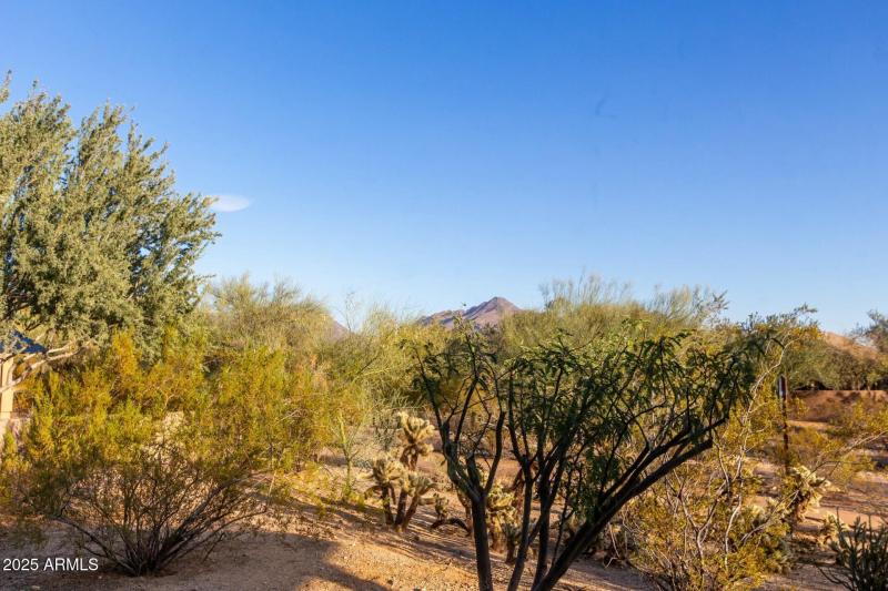 169 DC Ranch McDowell Mountain View