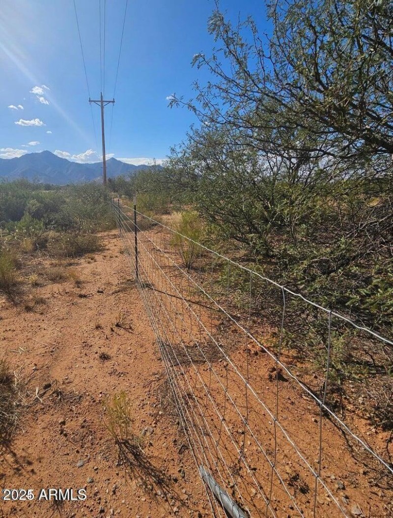 20241006235249826357000000-o