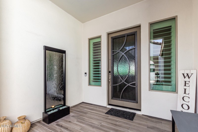Iron & Glass front door