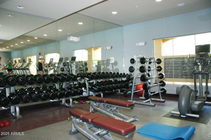 Free Weights