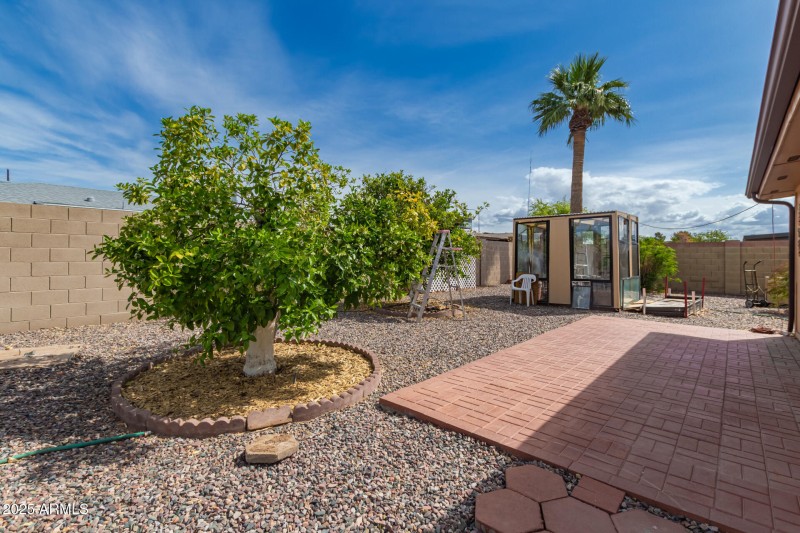 BACK YARD