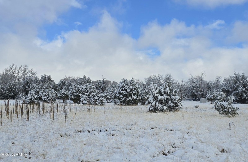 SNOW 5 Acres View to the North