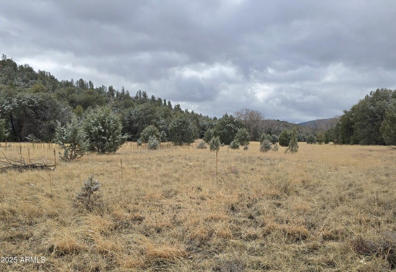 5 Acres Panorama looking S