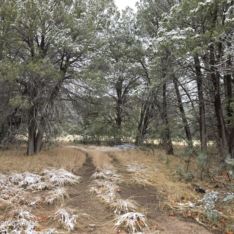 Driveway into Meadow