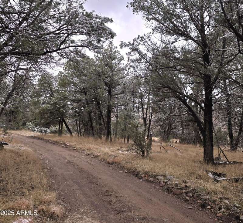 Easement road
