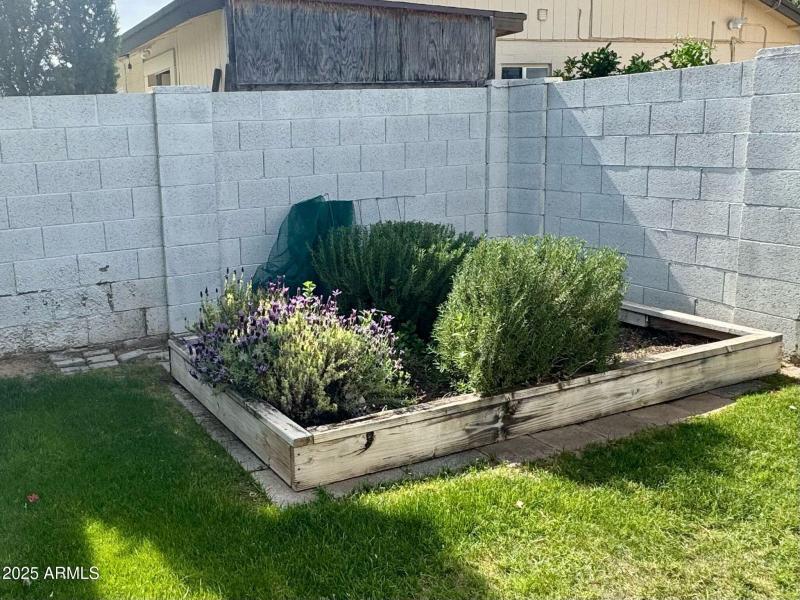 PHOTO-2025-04-05-08-29-23_3