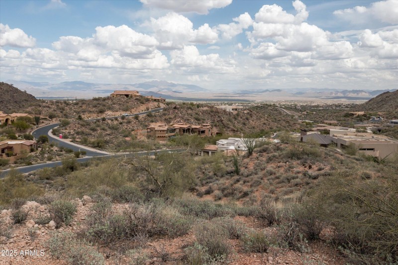 17-14520EWaxWingCourtlot31-17