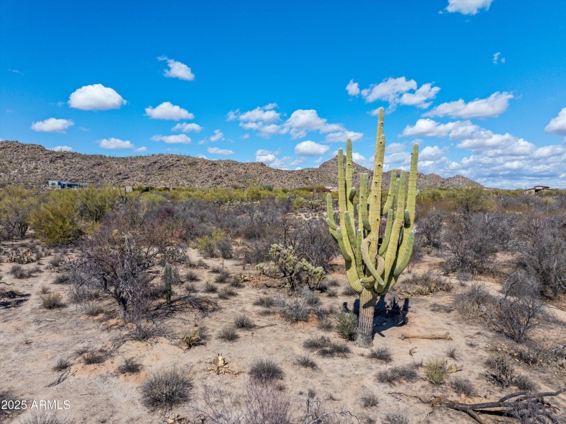 Surrounding Desert