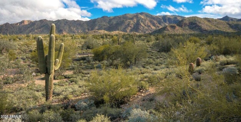 Desert MLS